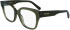 FERRAGAMO SF2952N glasses in Transparent Khaki