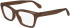 FERRAGAMO SF2986 glasses in Transparent Brown