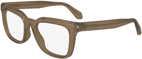 FERRAGAMO SF2990 glasses in Transparent Light Brown