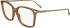 FERRAGAMO SF2992 glasses in Transparent Caramel