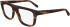 FERRAGAMO SF2997 glasses in Striped Brown