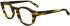 FERRAGAMO SF2998 glasses in Striped Brown