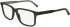 Lacoste L2946 glasses in Transparent Khaki