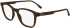 Lacoste L2949 glasses in Transparent Brown