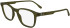Lacoste L2949 glasses in Transparent Khaki