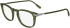 Lacoste L2954 glasses in Transparent Khaki