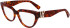 Lanvin LNV2646 glasses in Amber Tortoise