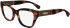 Longchamp LO2742L glasses in Red Havana