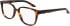 Nike NIKE 7172 glasses in Dark Tortoise