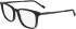 Zeiss ZS23717 glasses in Dark Tortoise