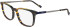 Zeiss ZS23717 glasses in Striped Brown/Blue