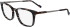Zeiss ZS23717 glasses in Striped Brown/Grey