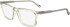 Zeiss ZS24541 glasses in Transparent Light Beige