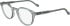 Zeiss ZS24542 glasses in Transparent Light Grey