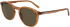 Lacoste L916S glasses in Transparent Brown