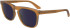 Calvin Klein CK23534S sunglasses in Caramel