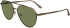 Calvin Klein CK24100S sunglasses in Amber Gold