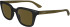 Calvin Klein CK24506S sunglasses in Black