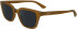Calvin Klein CK24506S sunglasses in Brick