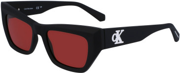 Calvin Klein Jeans CKJ23641S sunglasses in Matte Black