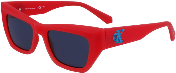 Calvin Klein Jeans CKJ23641S sunglasses in Strawberry