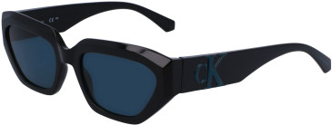 Calvin Klein Jeans CKJ23652S sunglasses in Black