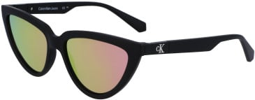 Calvin Klein Jeans CKJ23658S sunglasses in Matte Black