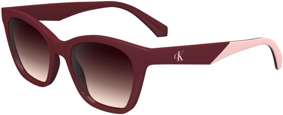 Calvin Klein Jeans CKJ24303S sunglasses in Burgundy