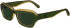 Calvin Klein Jeans CKJ24608S sunglasses in Forest