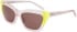 DKNY DK547S sunglasses in Crystal Peach/Citron