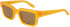 Dragon DR EZRA LL sunglasses in Shiny Crush Crystal/Brown