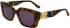 Karl Lagerfeld KL6125S sunglasses in Striped Tobacco