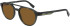 Lacoste L6008S sunglasses in Transparent Grey