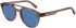 Lacoste L6008S sunglasses in Transparent Brown
