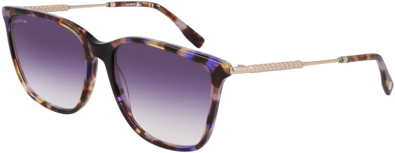 Lacoste L6016S sunglasses in Purple Havana