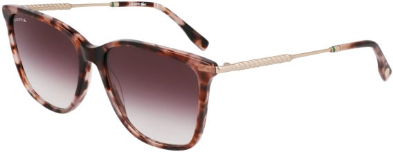 Lacoste L6016S sunglasses in Havana Nude