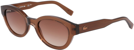 Lacoste L6024S sunglasses in Brown