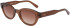 Lacoste L6024S sunglasses in Brown