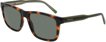Lacoste L6025S sunglasses in Havana