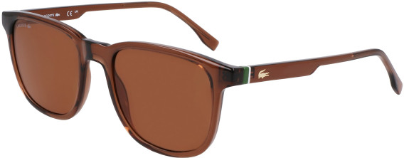 Lacoste L6029S sunglasses in Transparent Brown