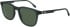 Lacoste L6029S sunglasses in Matte Green