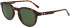 Lacoste L6030S sunglasses in Havana