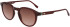 Lacoste L6030S sunglasses in Transparent Burgundy