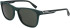 Lacoste L6031S sunglasses in Matte Green