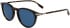 Lacoste L6034S sunglasses in Havana