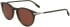 Lacoste L6034S sunglasses in Khaki
