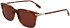 Lacoste L6035S sunglasses in Havana