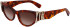 Lanvin LNV664S sunglasses in Amber Tortoise