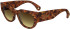 Lanvin LNV670S sunglasses in Amber Tortoise
