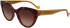 Liu Jo LJ782S sunglasses in Tortoise